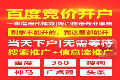 行业领先企业如何运用SEM进行精准营销