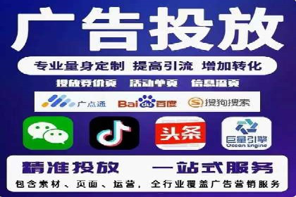 案例解读：网络推广与竞价策略